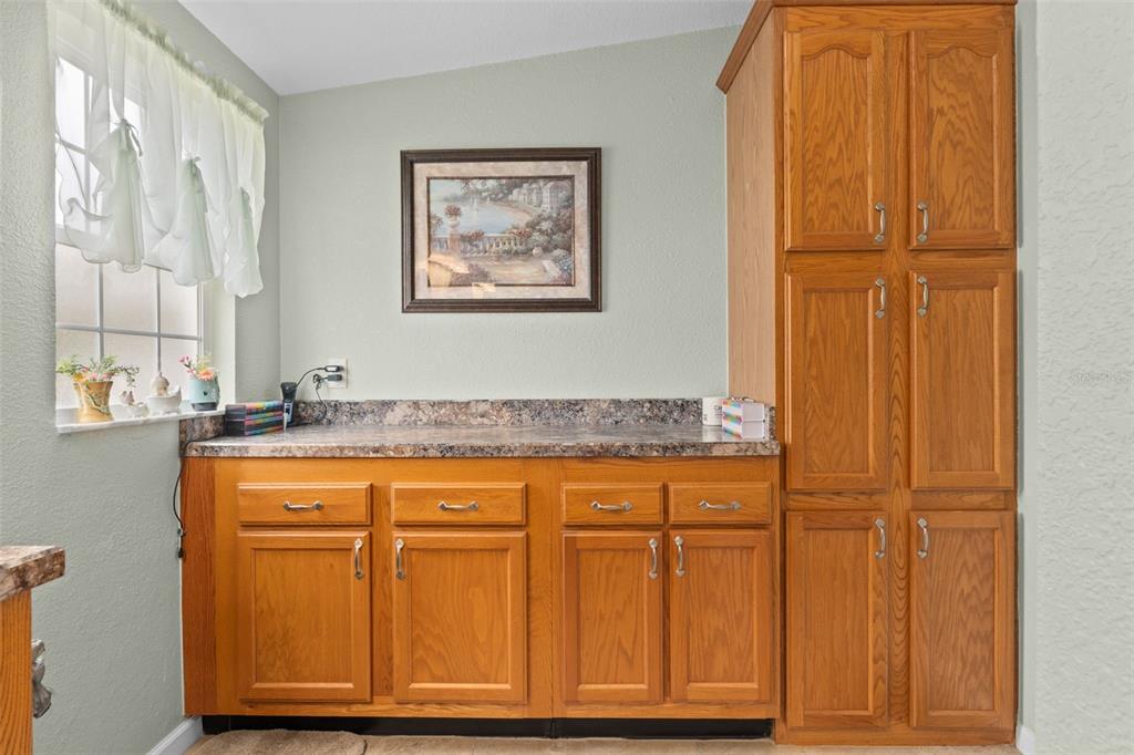 7340 Devine Avenue Brooksville, FL 34613 - Photo 30 of 56
