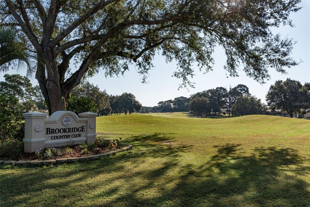 7340 Devine Avenue Brooksville, FL 34613 - Photo 46 of 56