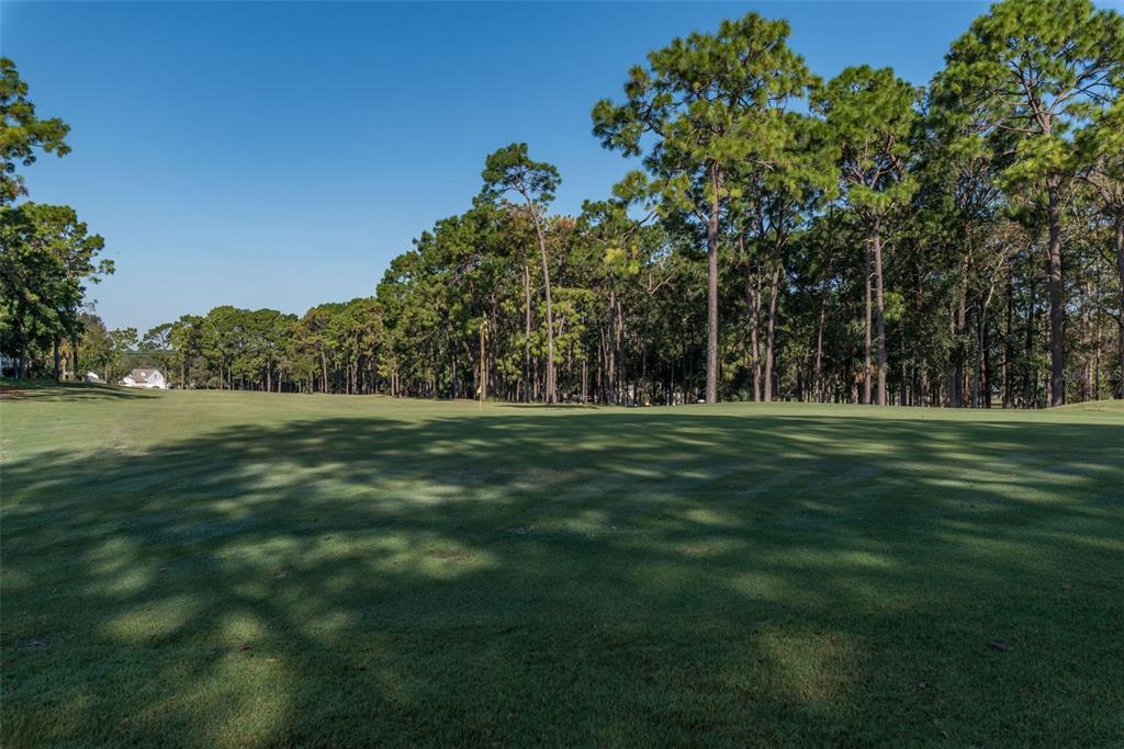 7340 Devine Avenue Brooksville, FL 34613 - Photo 50 of 56