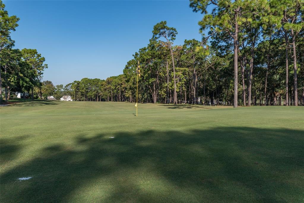 7340 Devine Avenue Brooksville, FL 34613 - Photo 51 of 56