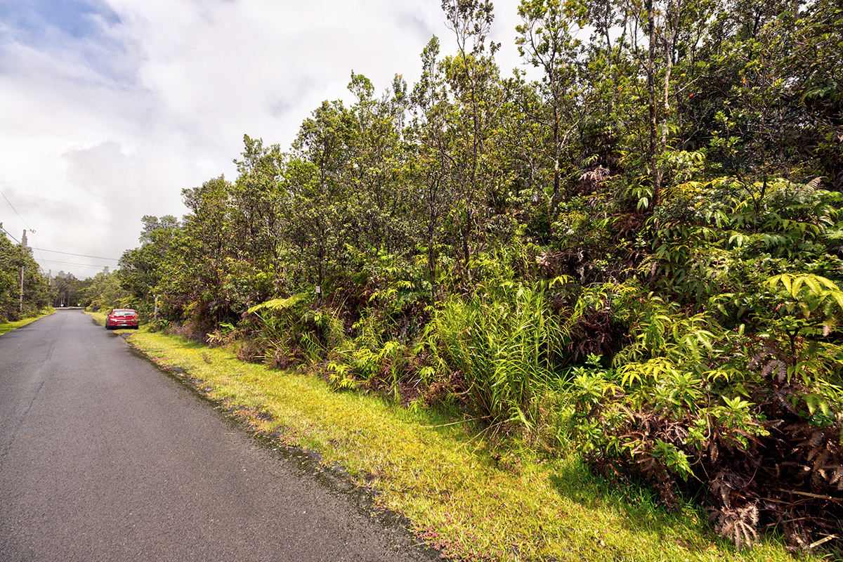 754 8th Street Volcano, HI 96785 - Photo 1 of 6 a view of a yard with plants and trees
