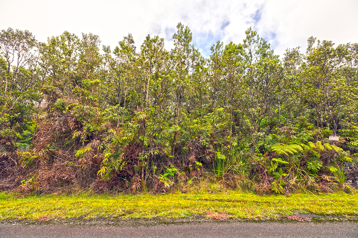 754 8th Street Volcano, HI 96785 - Photo 2 of 6