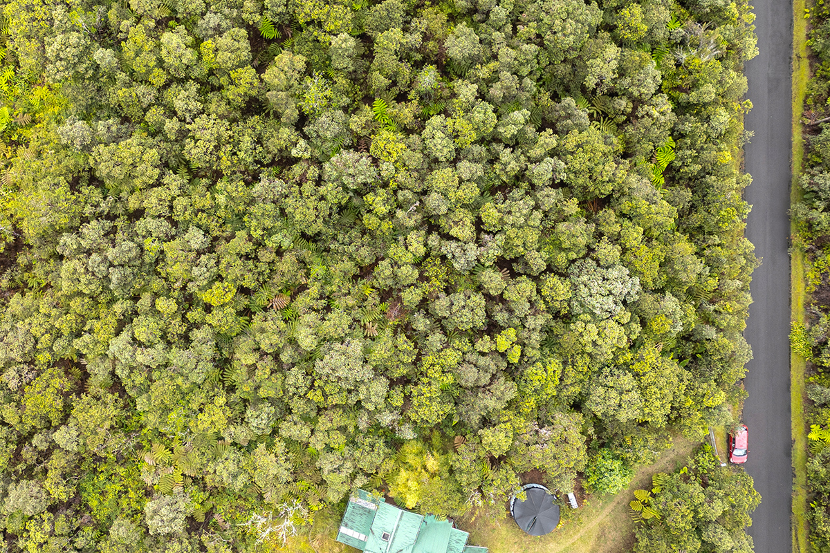 754 8th Street Volcano, HI 96785 - Photo 5 of 6