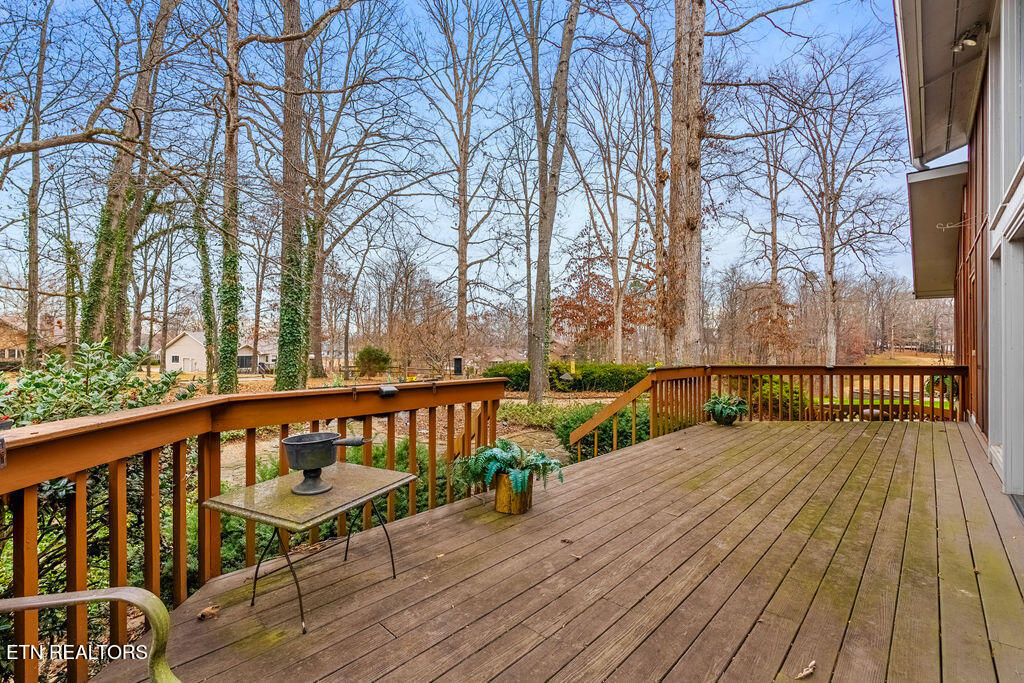 135 Inata Circle Loudon, TN 37774 - Photo 35 of 58 DSC01937-HDR_1