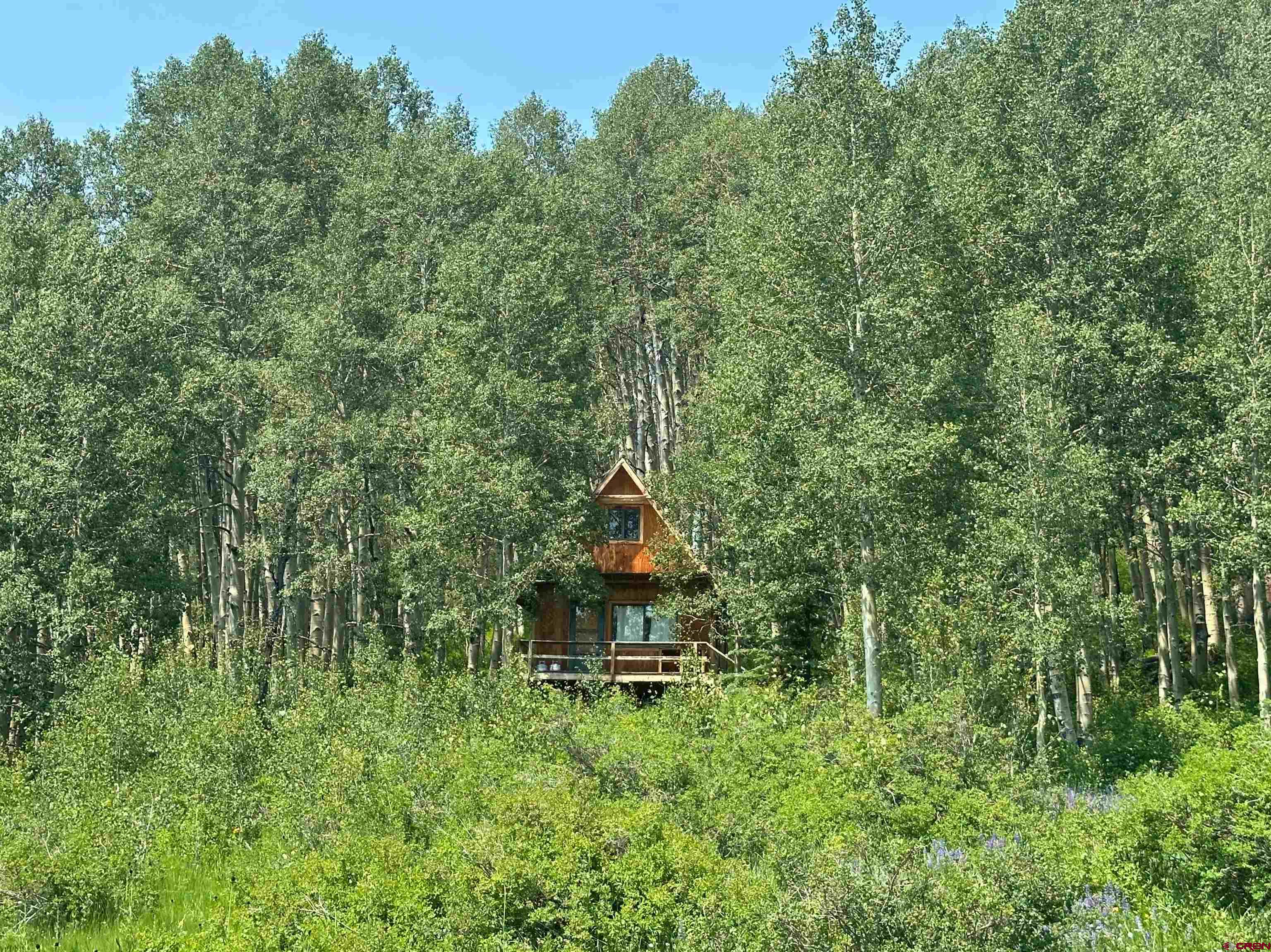 37081 Roatcap Road Paonia, CO 81428 - Photo 4 of 35