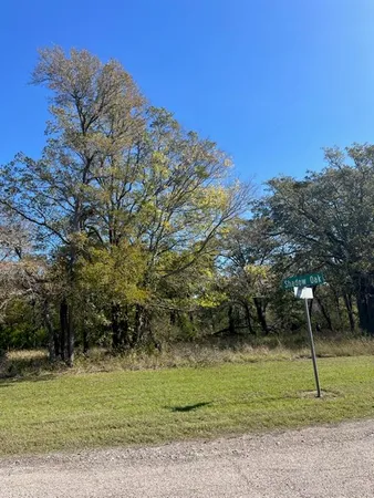 a view of a grassy field with trees