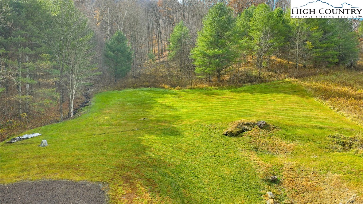 2507 Parker Eller Road Warrensville, NC 28693 - Photo 46 of 49