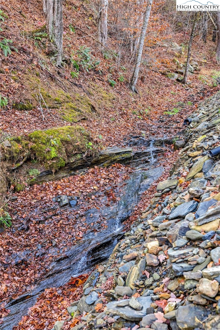 2507 Parker Eller Road Warrensville, NC 28693 - Photo 10 of 49