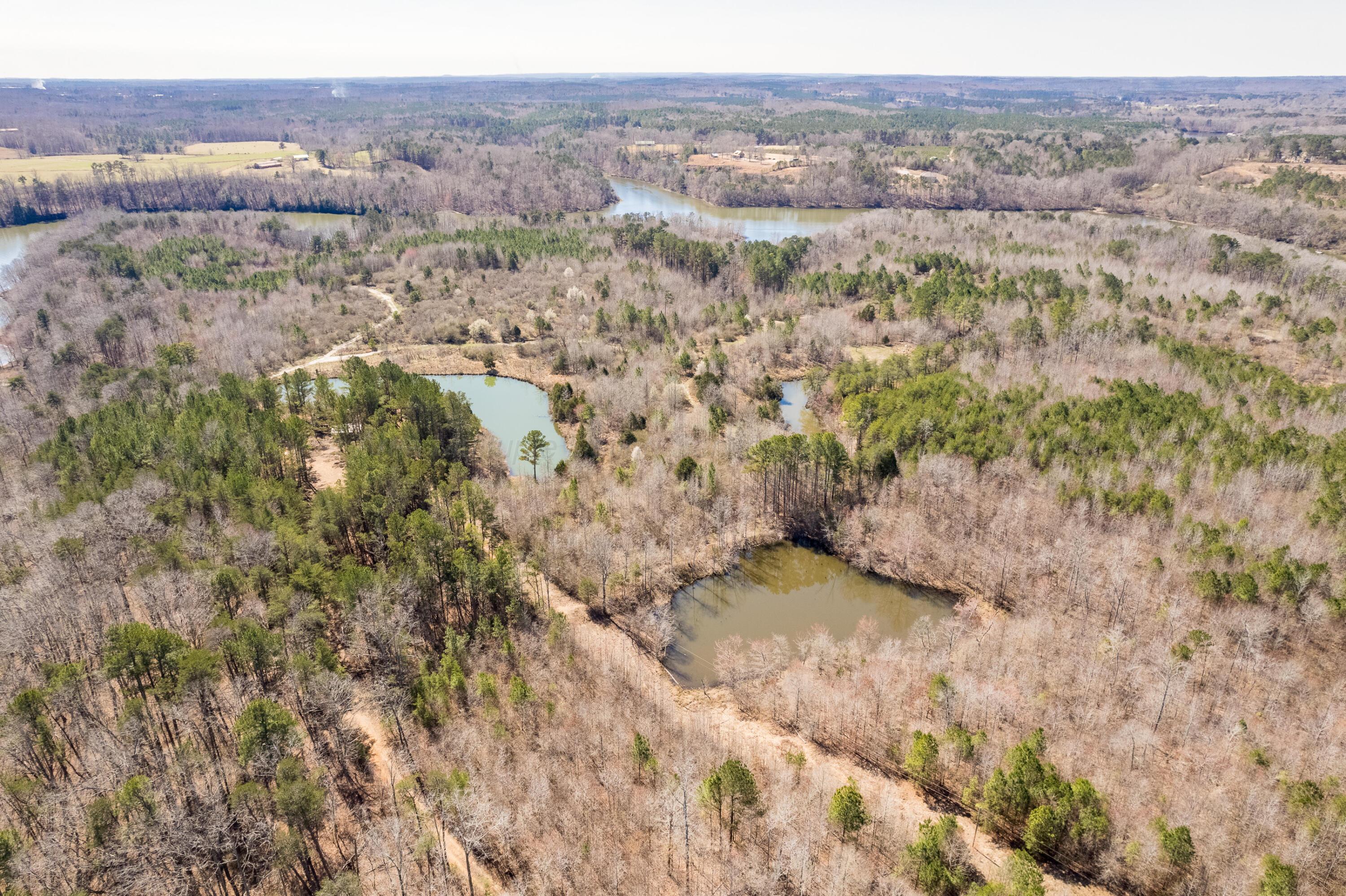 0 Dime Road Phil Campbell, AL 35581 - Photo 18 of 18 Aerial