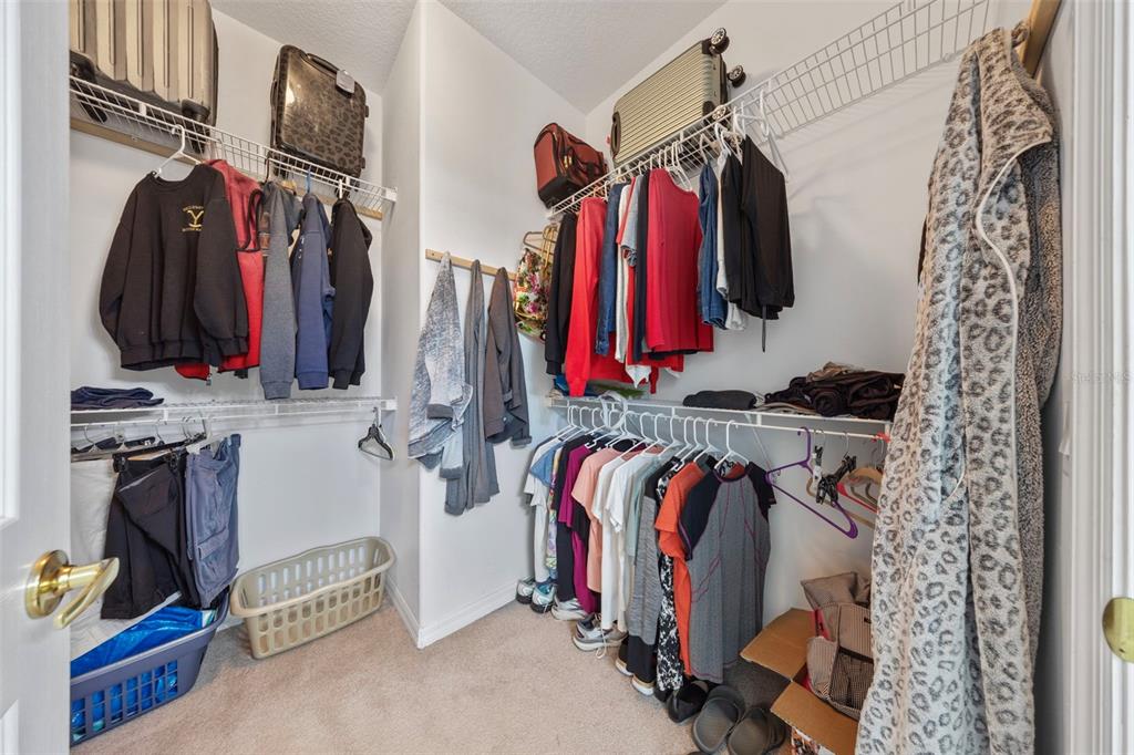 20907 Tangor Road Land O Lakes, FL 34637 - Photo 17 of 49 a view of a walk in closet