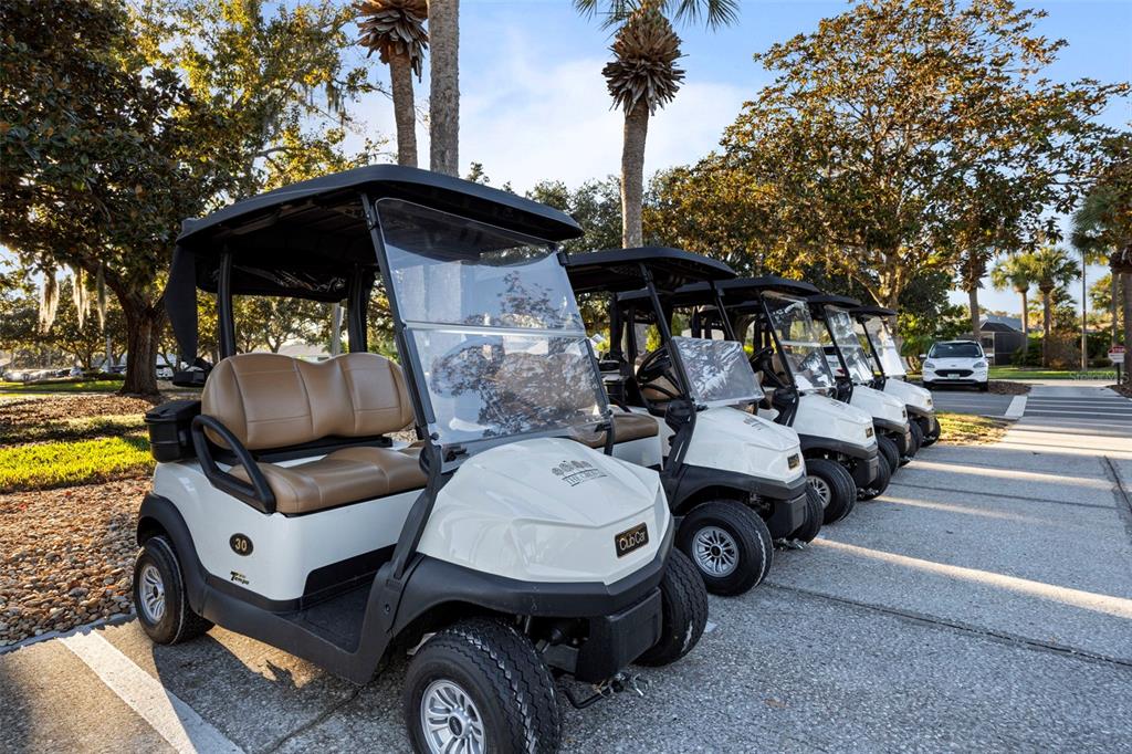 20907 Tangor Road Land O Lakes, FL 34637 - Photo 30 of 49 a view of a patio with table and chairs under an umbrella with a fire pit