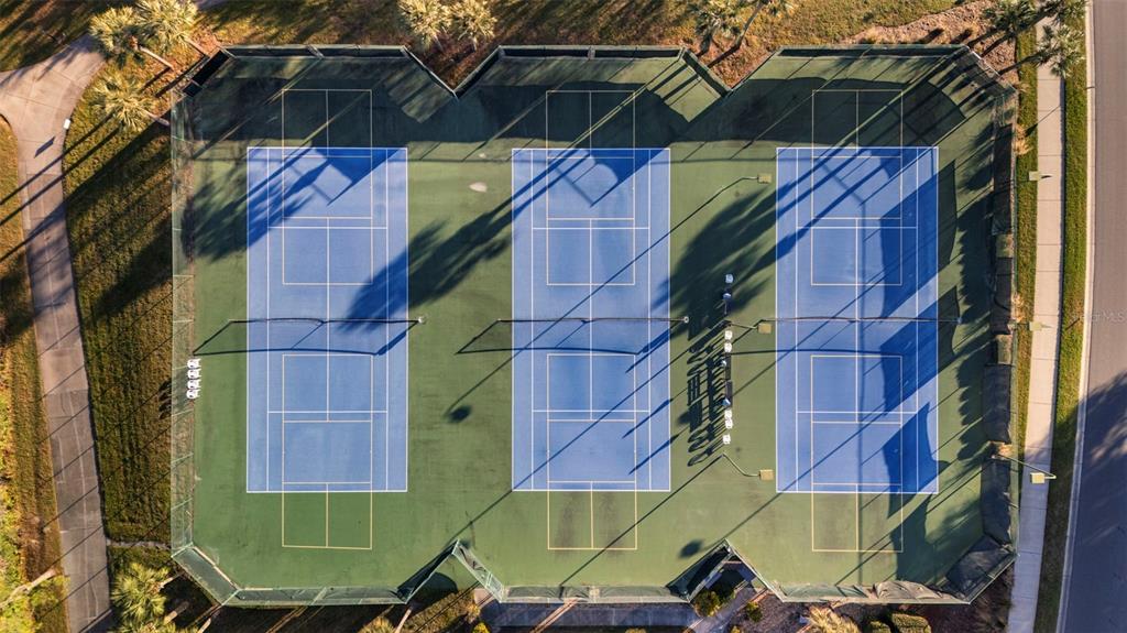 20907 Tangor Road Land O Lakes, FL 34637 - Photo 37 of 49