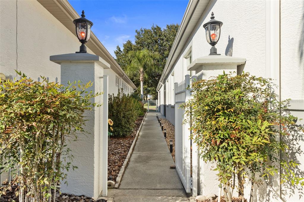 20907 Tangor Road Land O Lakes, FL 34637 - Photo 4 of 49 a path view of a house with street