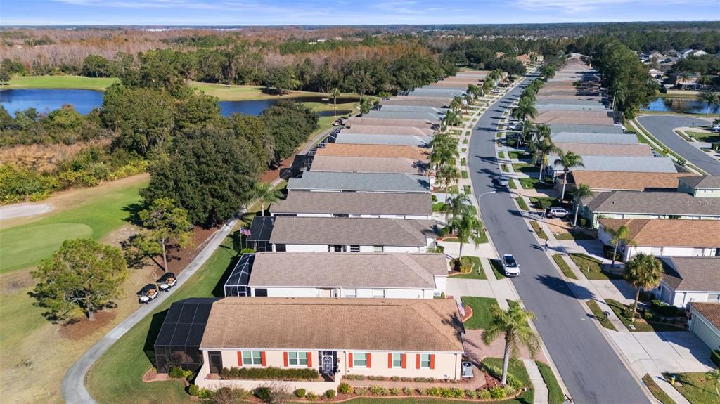 20907 Tangor Road Land O Lakes, FL 34637 - Photo 45 of 49 an aerial view of a house with a yard and lake view