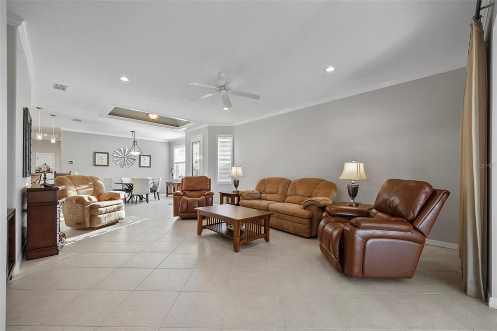 20907 Tangor Road Land O Lakes, FL 34637 - Photo 5 of 49 a living room with furniture