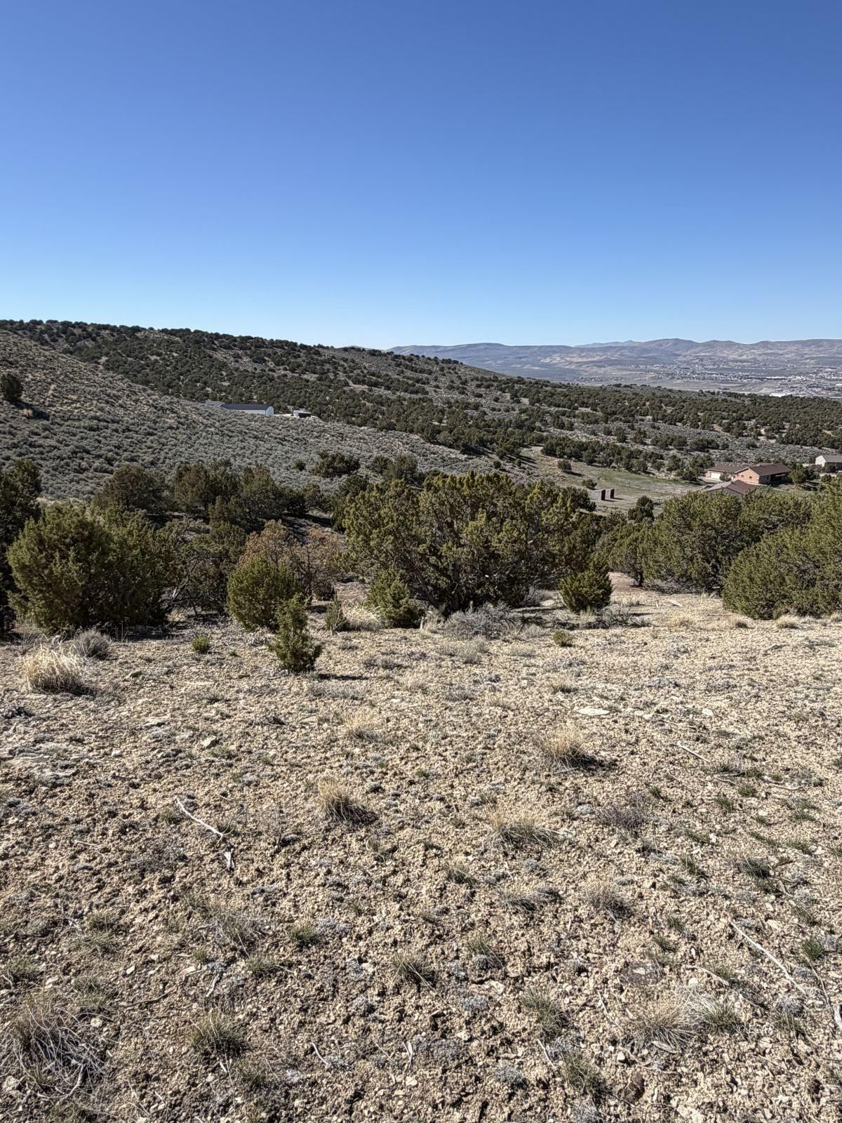 Andy's Way Elko, NV 89801 - Photo 8 of 16