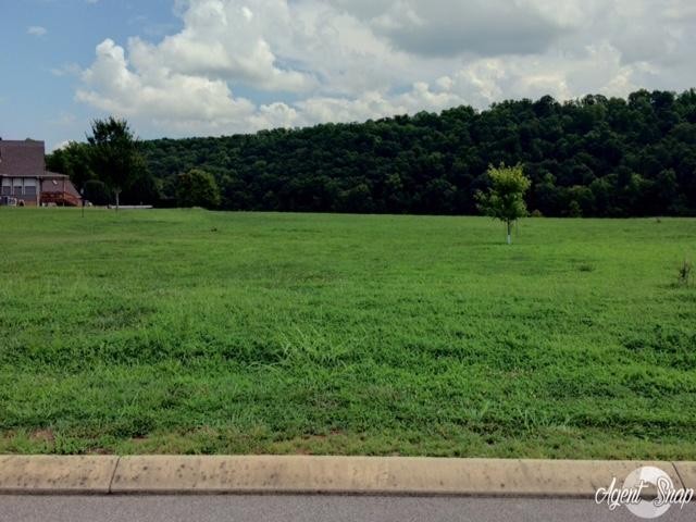0 Co Road Athens, TN 37303 - Photo 1 of 2