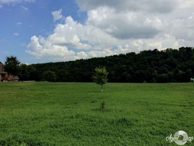 0 Co Road Athens, TN 37303 - Photo 2 of 2