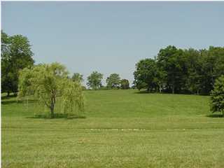 Primary Photo