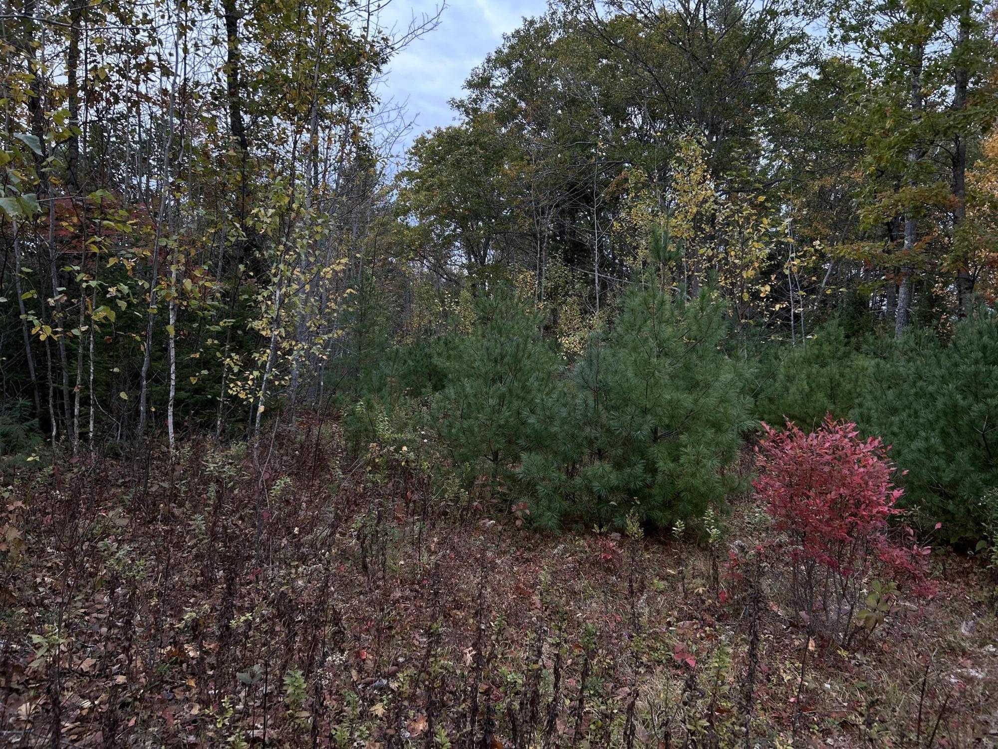 401 Genthner Road Waldoboro, ME 04572 - Photo 14 of 35