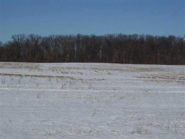 L-7 Lunda Road Marysville, OH 43040 - Photo 2 of 2