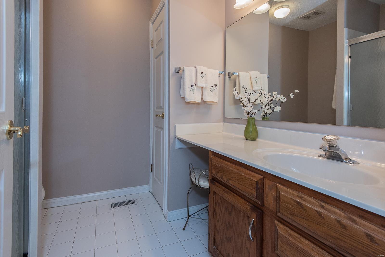 14528 Bantry Lane Chesterfield, MO 63017 - Photo 18 of 28