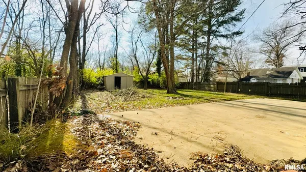 a view of a yard with trees