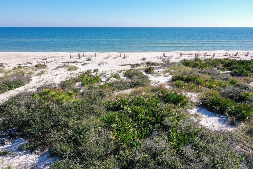 2116 Sea Fern Way St. George Island, FL 32328 - Photo 5 of 21