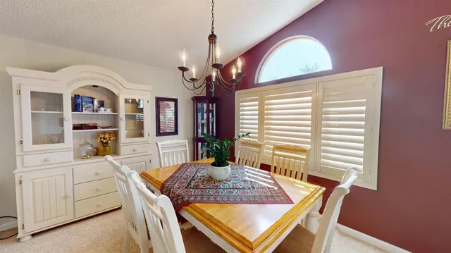 a living room with furniture flower pot and a large window