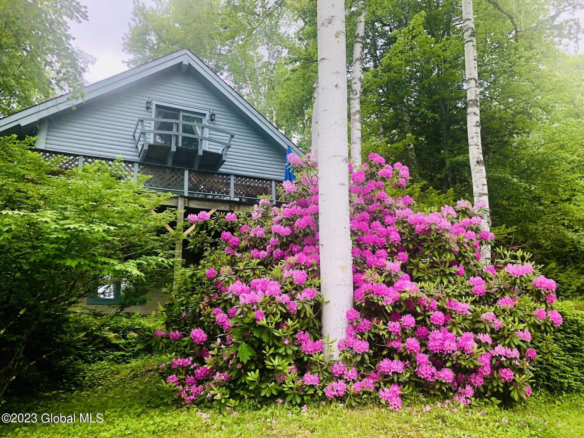 111 Bowen Hill Road Warrensburg, NY 12885 - Photo 3 of 79 thumbnail_IMG_0459