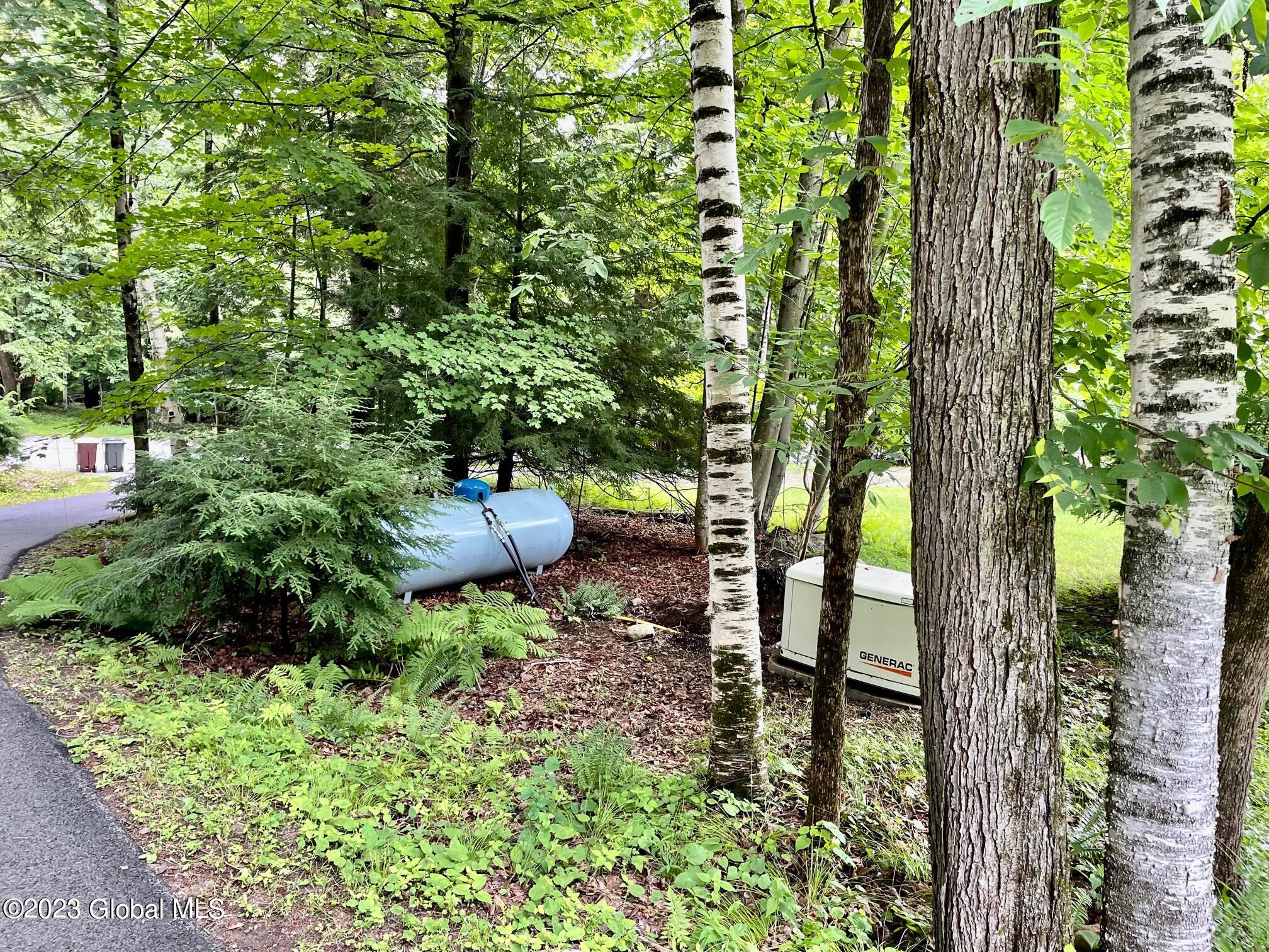 111 Bowen Hill Road Warrensburg, NY 12885 - Photo 69 of 79 IMG_2383