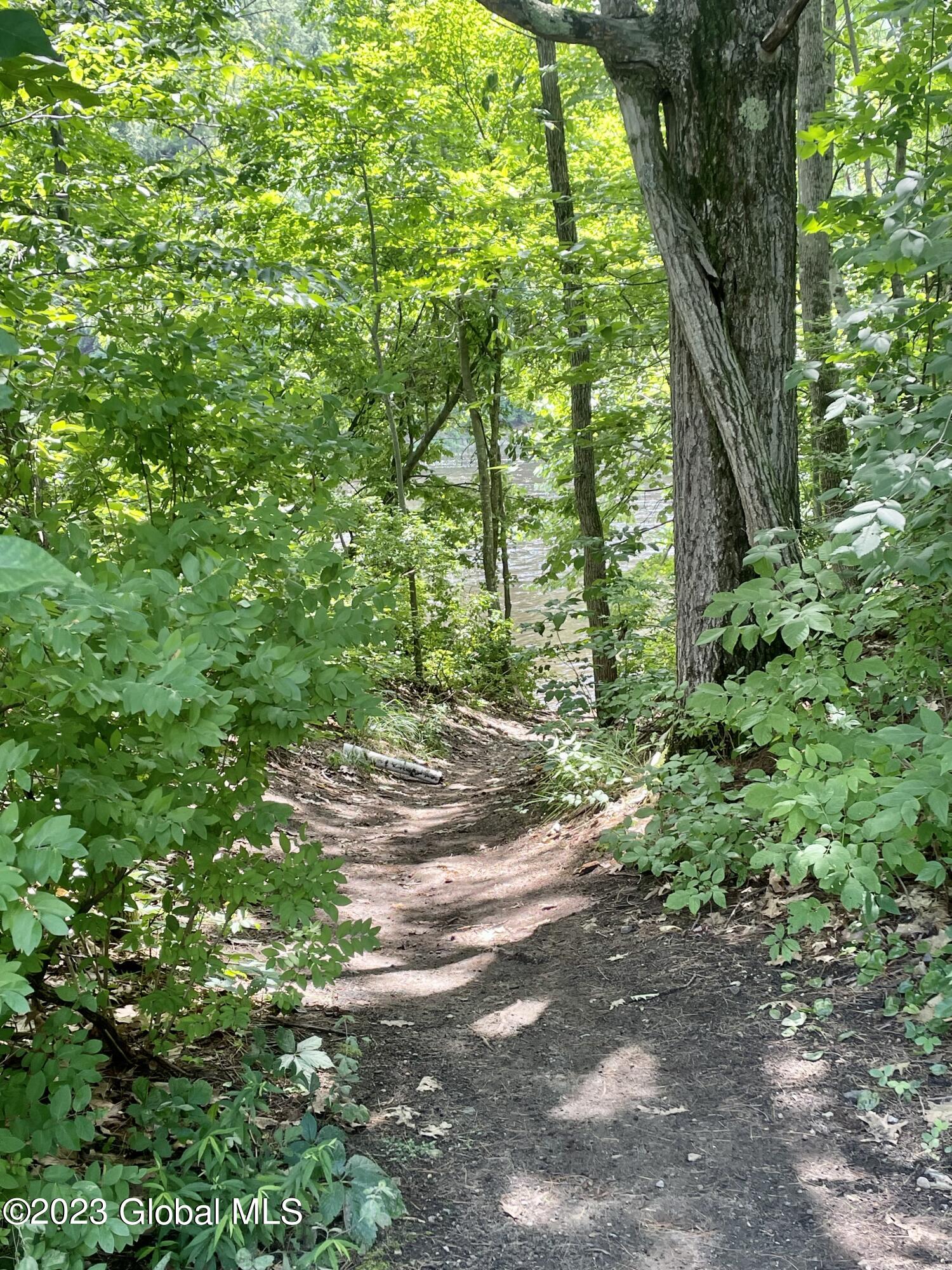 111 Bowen Hill Road Warrensburg, NY 12885 - Photo 73 of 79 IMG_2466