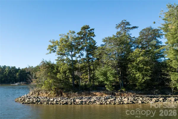 a view of a lake with a large tree