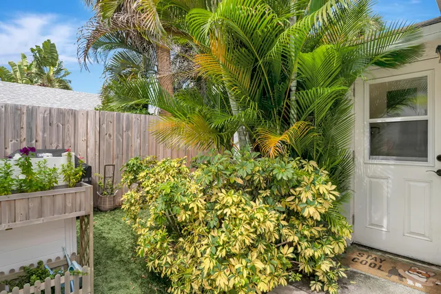 a view of a garden with plants