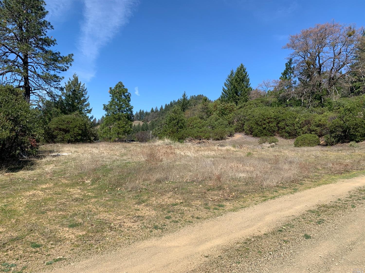 55825 Crest View Road Laytonville, CA 95454 - Photo 1 of 1 a view of a yard with a tree