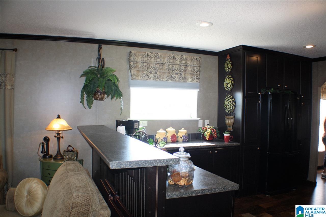 85 Callie Street Ohatchee, AL 36271 - Photo 8 of 50 Gallery Image 8