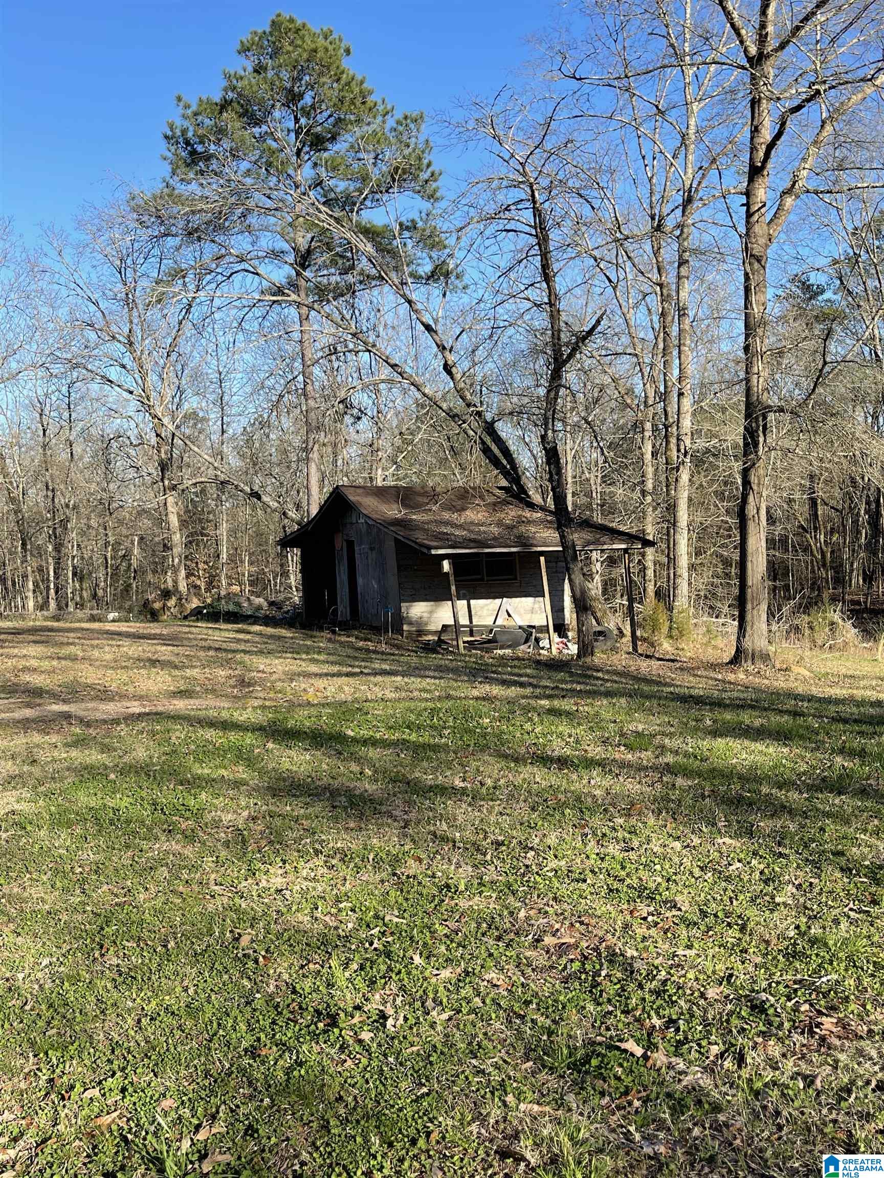 9848 Highway 145 Clanton, AL 35046 - Photo 5 of 13