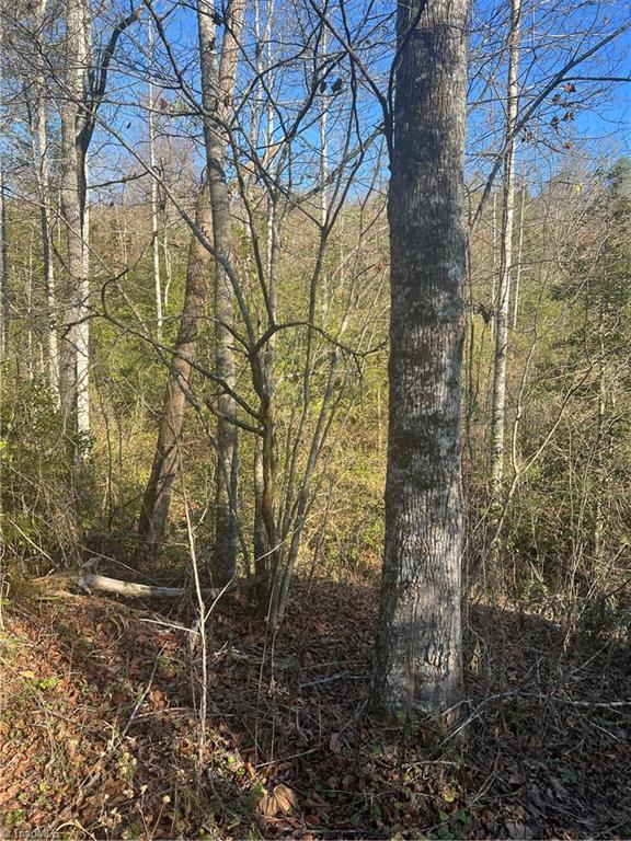 225 Buggie Road Purlear, NC 28665 - Photo 28 of 30 Gallery Image 28