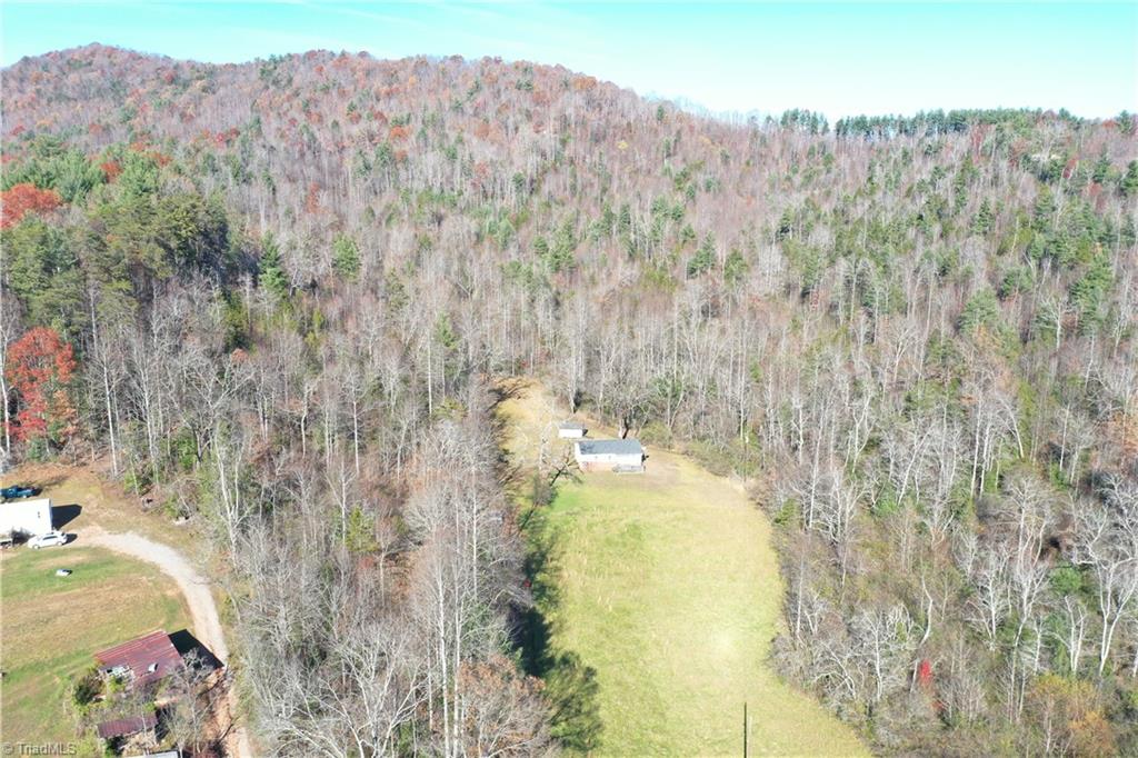 225 Buggie Road Purlear, NC 28665 - Photo 3 of 30 Gallery Image 3