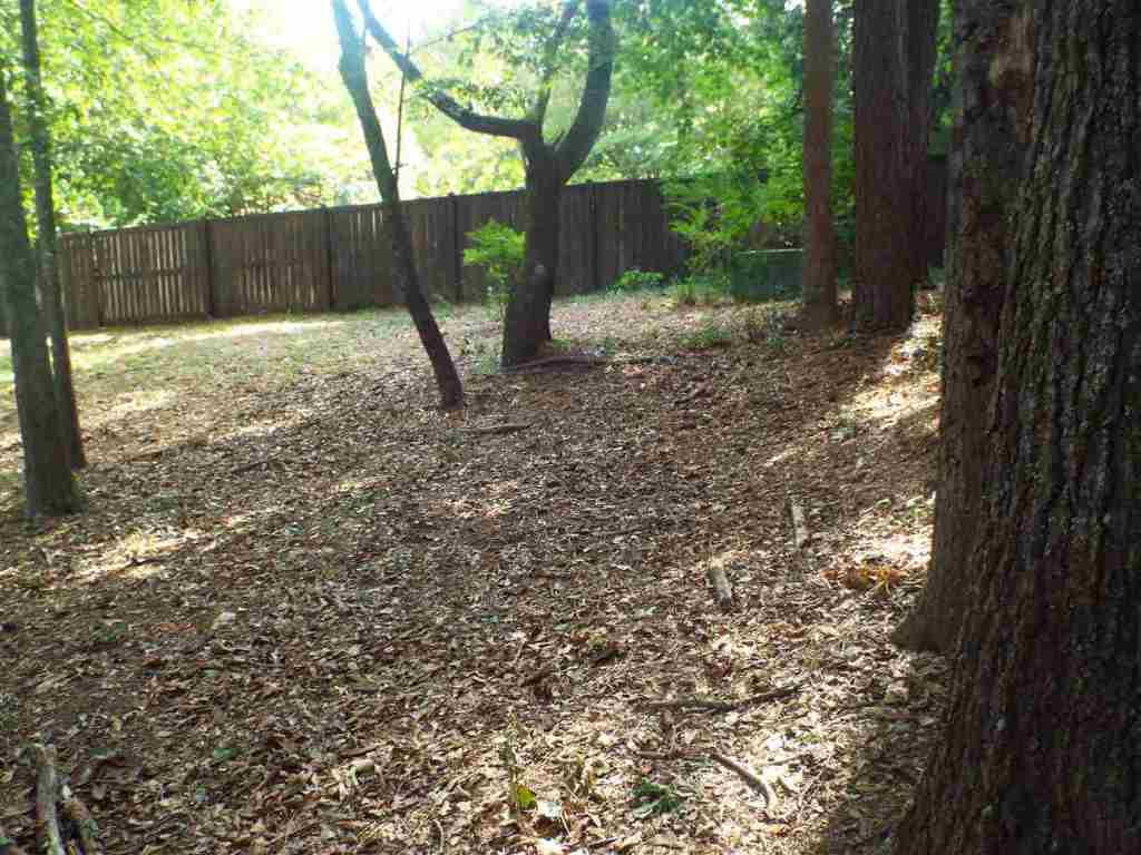 106 Ashley Road Clemson, SC 29631 - Photo 10 of 12 Gallery Image 10