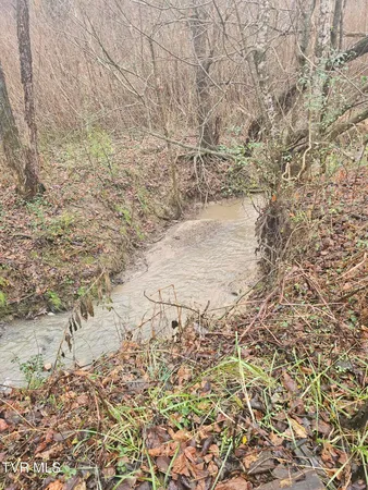 $265,000 | 2949 Highway 321, Parrottsville, TN 37843