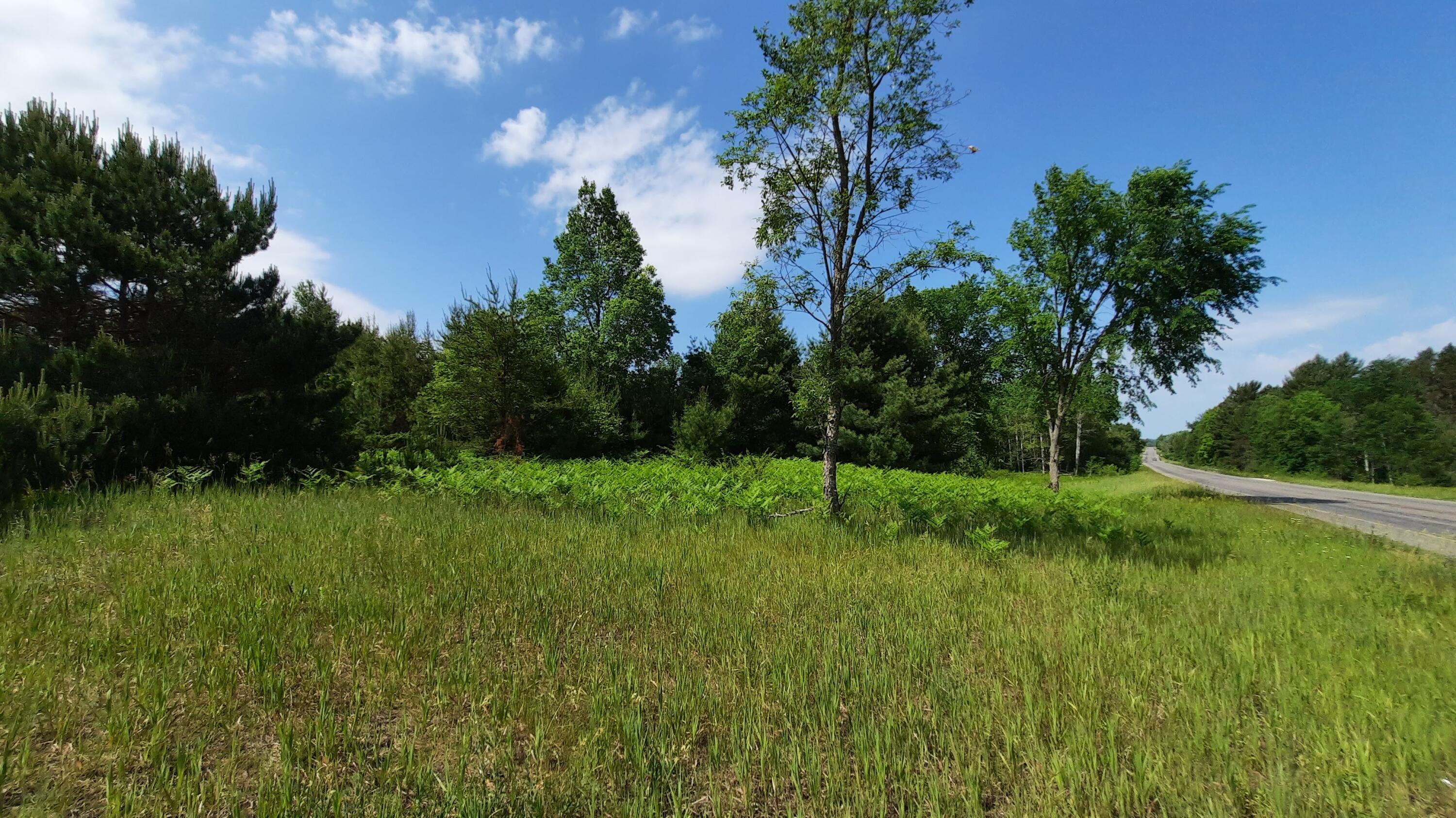 9 9 Mile Road Kaleva, MI 49645 - Photo 1 of 8 19.5 ACRES w Apx 640 ft RD FRT