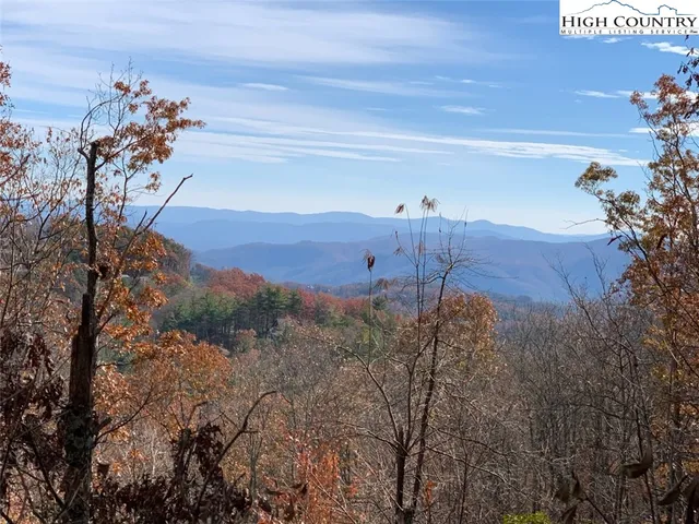 a view of a yard in front of a house