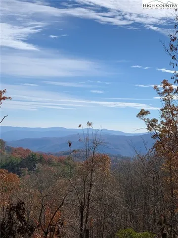 a view of a backyard of a house