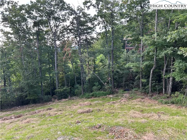 a view of backyard with green space