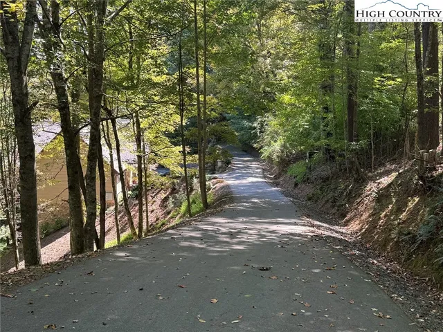 a view of a forest with trees
