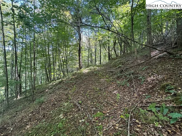 a big yard with lots of green space and deers