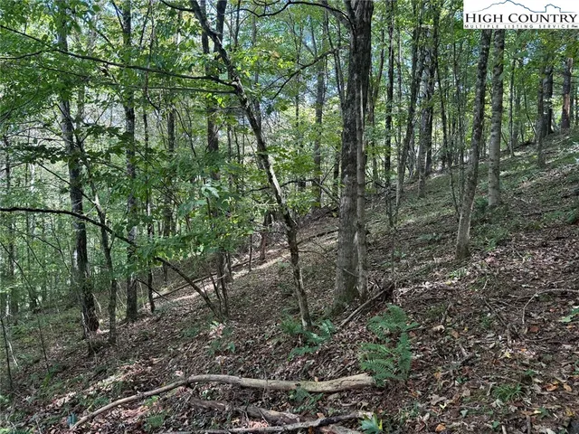 a view of a street with a trees