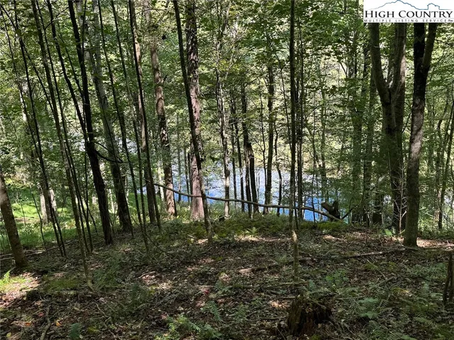 a view of backyard with green space