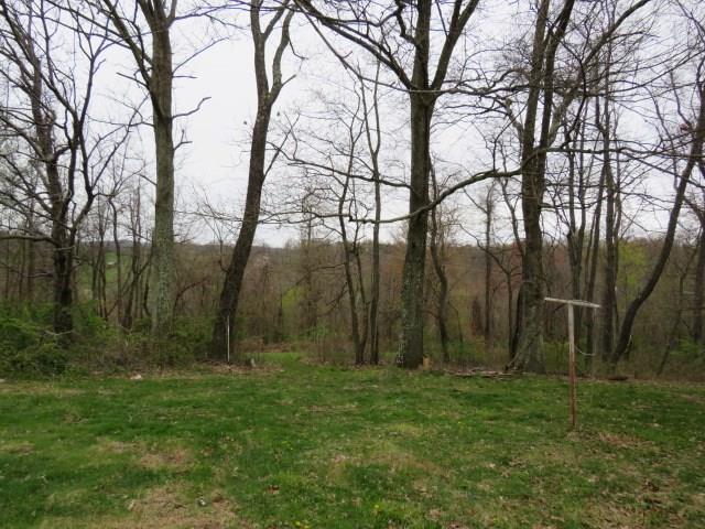 309 Chestnut Ridge Road Washington, PA 15301 - Photo 3 of 21